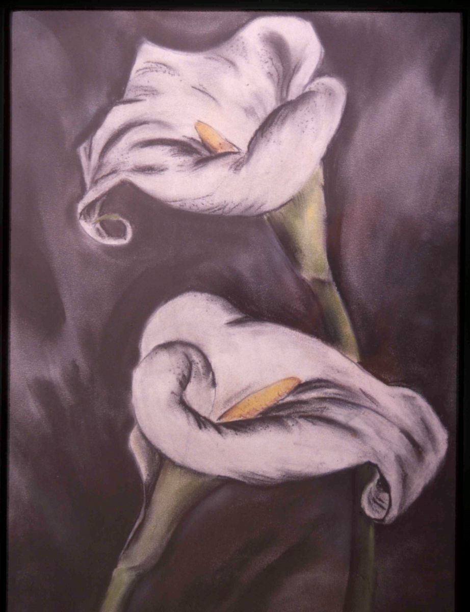 Calla Lilies,  pastel, 10 ½  x 4 ¾ , c. 1922-1930.           