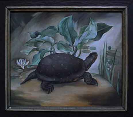 Spotted Turtle with Water Lily, Woodbury. Oil, 22 x 25 in., 1928                            